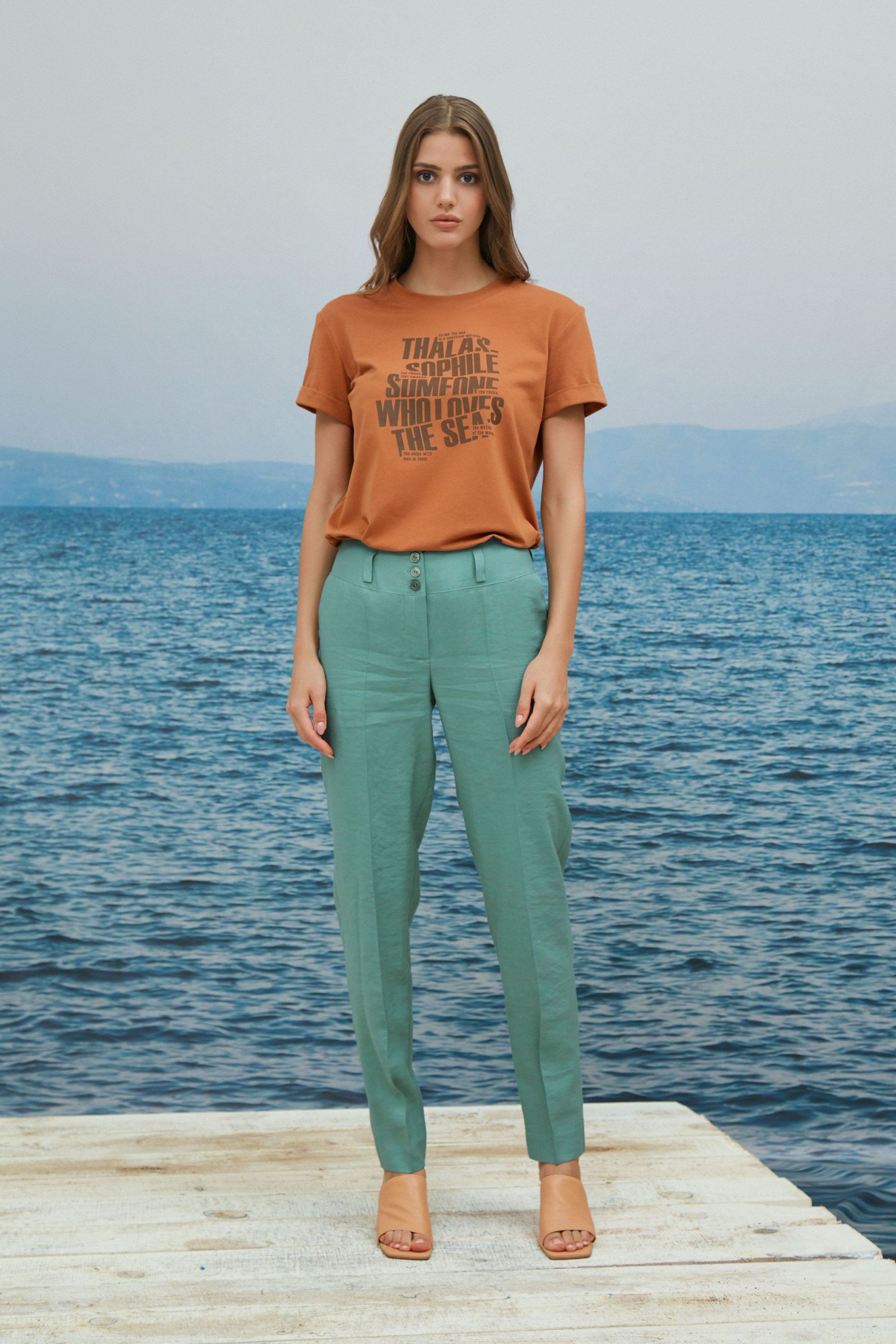 А1685/4, А1700/9, А1685/6